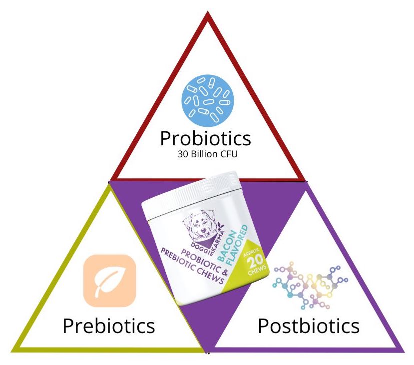 Happy Dog with Doggie Karma Probiotics