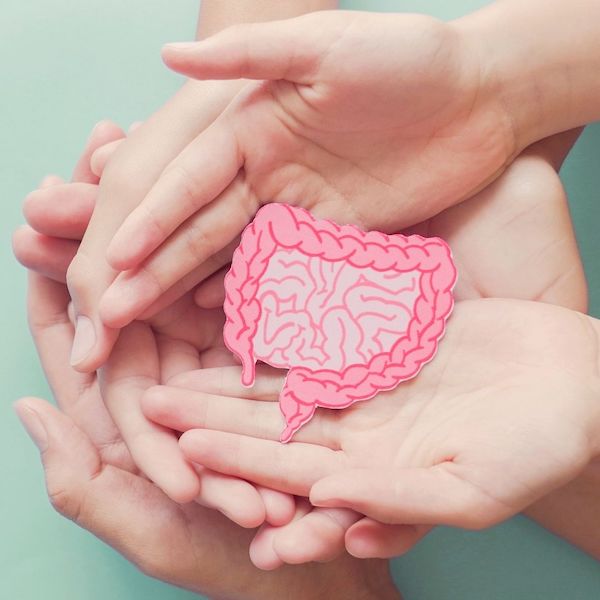 Gut Health