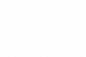 Doggie Karma Loading