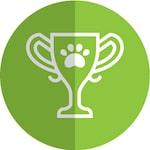 More Playfulness & Energy