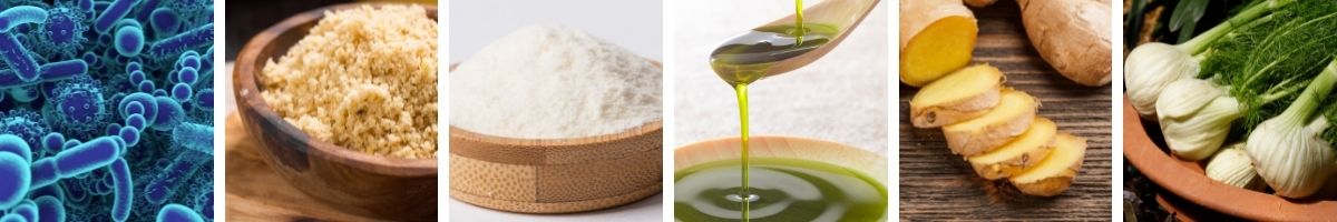 Doggie Karma Probiotics Ingredients