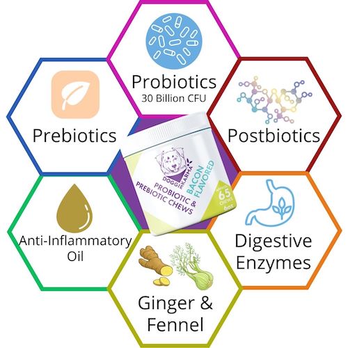 Happy Dog with Doggie Karma Probiotics