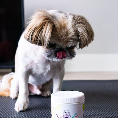 Karma looking at Probiotics