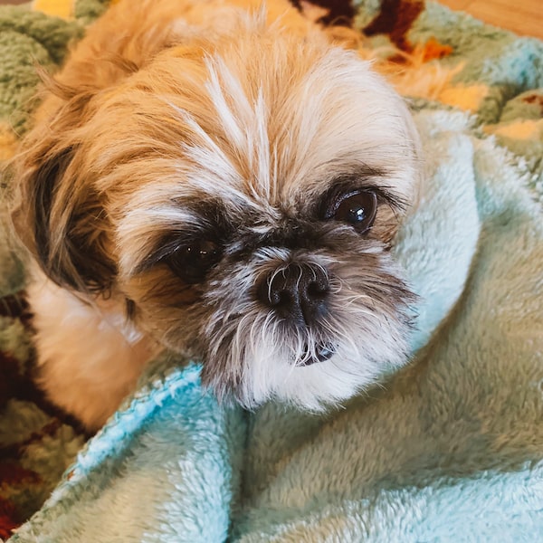 Karma not doing well