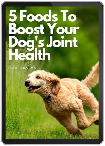 Doggie Karma Foods Boost Joint Health